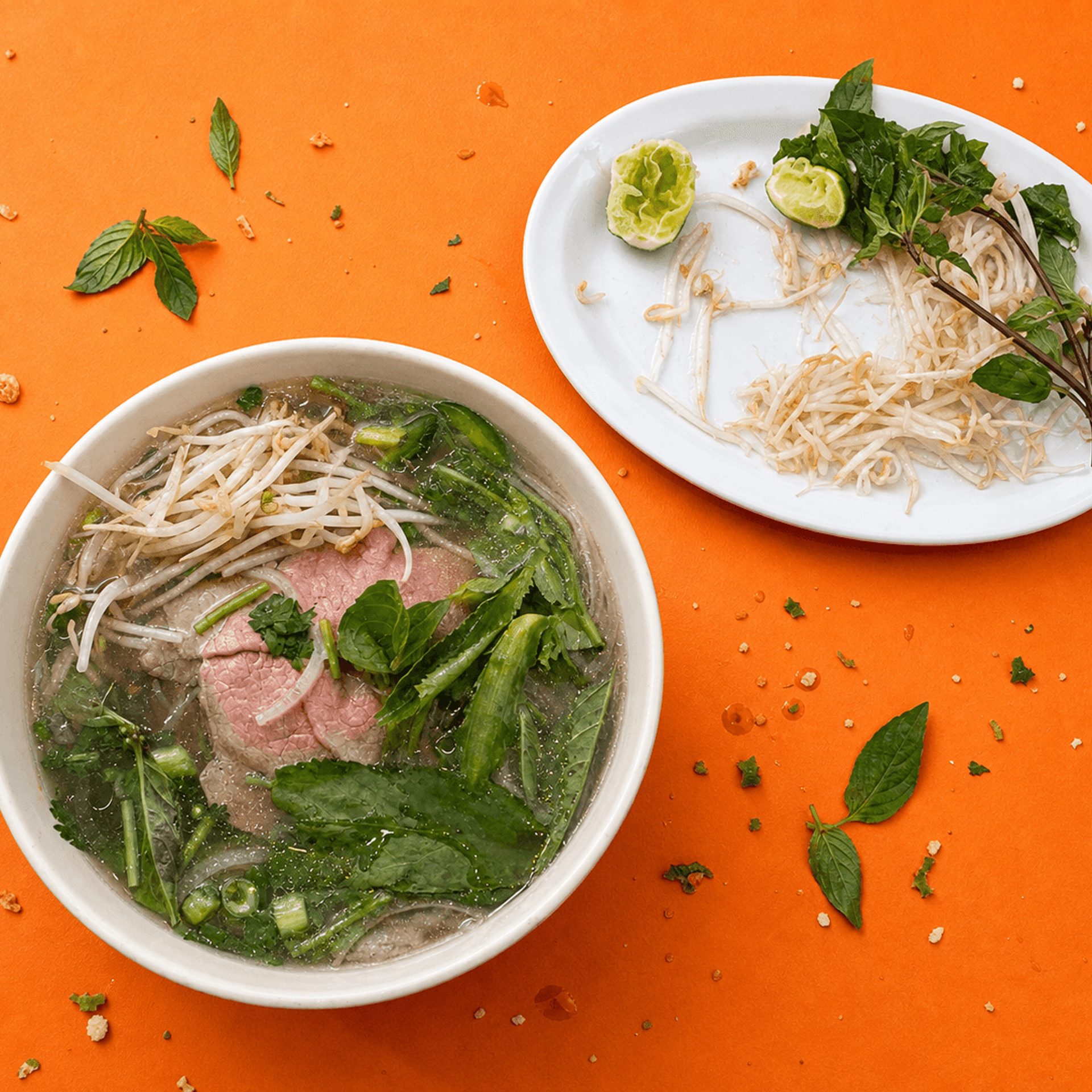 Phở Sườn Bò