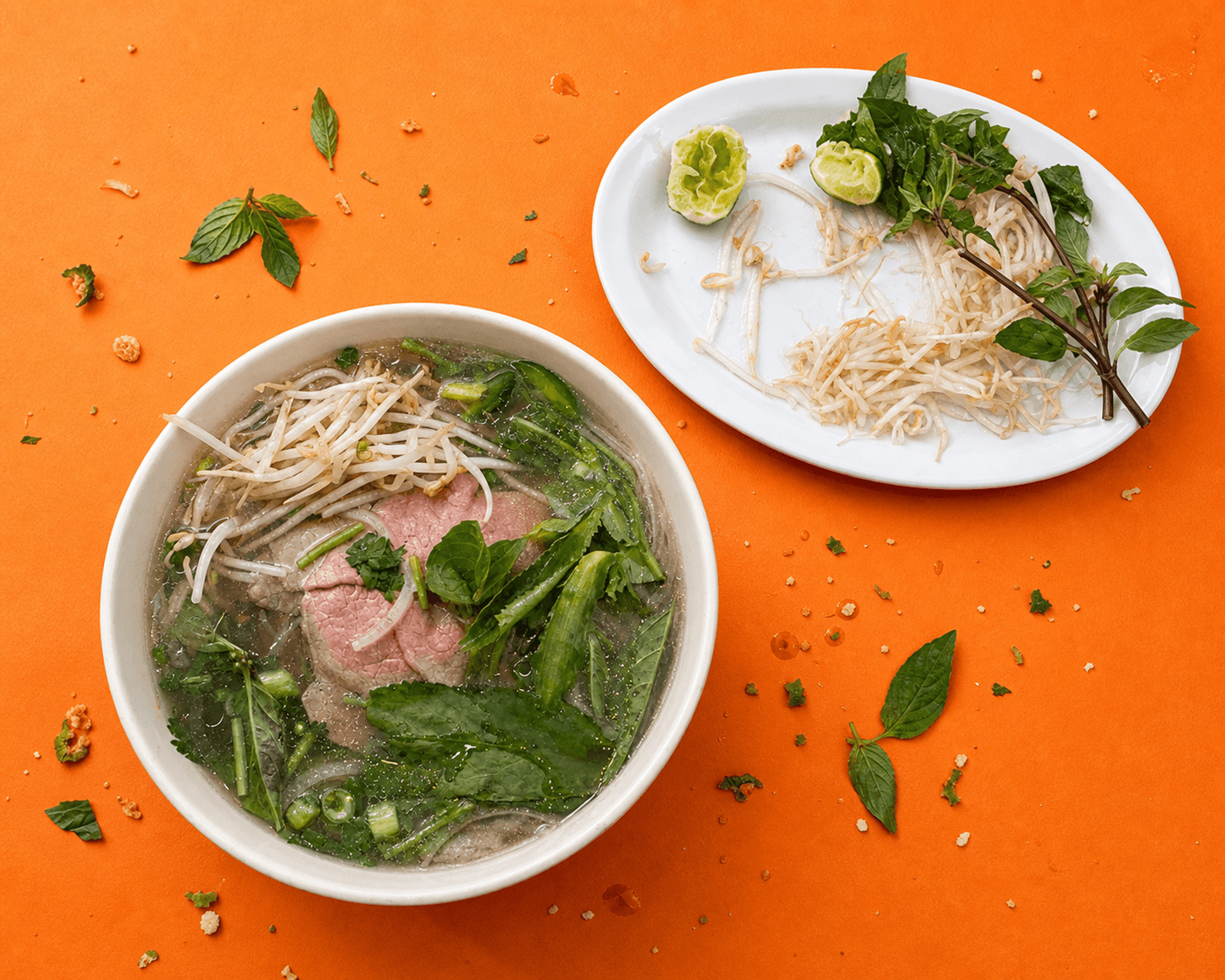 Phở Sườn Bò